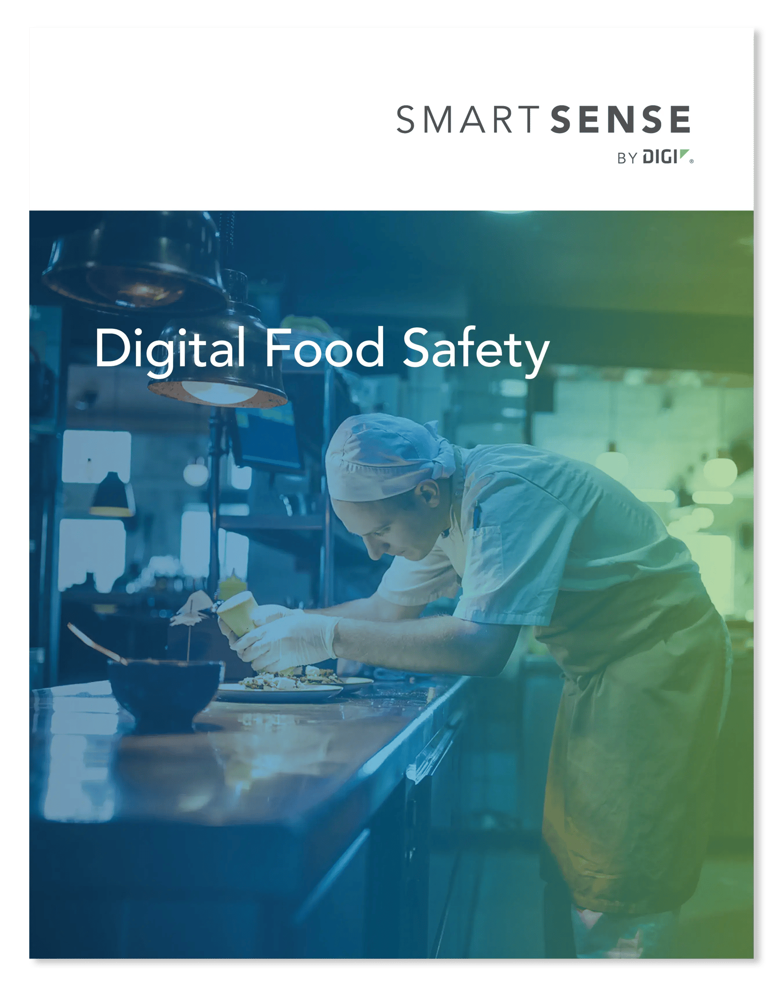 Digital Food Safety Brochure Thumbnail